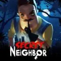 Secret Neighbor