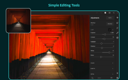 Download Adobe Lightroom - Photo Editor & Pro Camera wallpapers 9