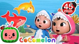 Download Cocomelon wallpapers 1
